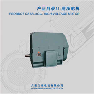 變頻高壓電機 六安江淮電機 配礦山設備 水泵